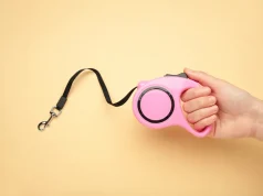 Fleksibilan povodac za psa – Šta je, kada ga koristiti i da li je siguran izbor Fleksibilan povodac za psa - Šta je, kada ga koristiti i da li je siguran izbor