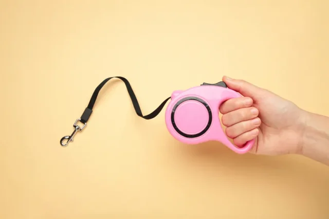 Fleksibilan povodac za psa - Šta je, kada ga koristiti i da li je siguran izbor