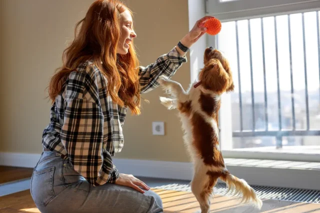 Kognitivne igre za pse: 10 "mozgalica" za vašeg kućnog ljubimca