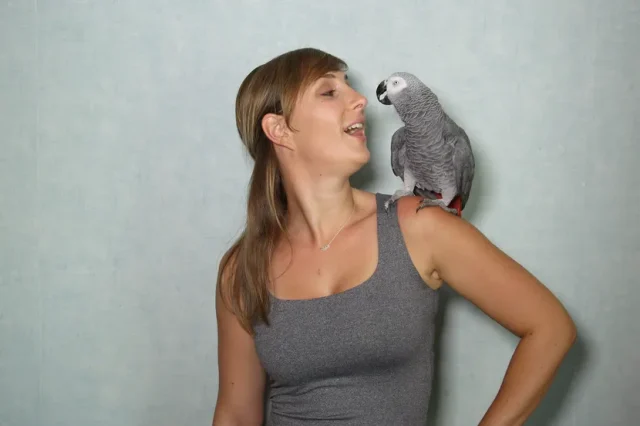 Kako naučiti pticu da brzo prepozna i reaguje na svoje ime