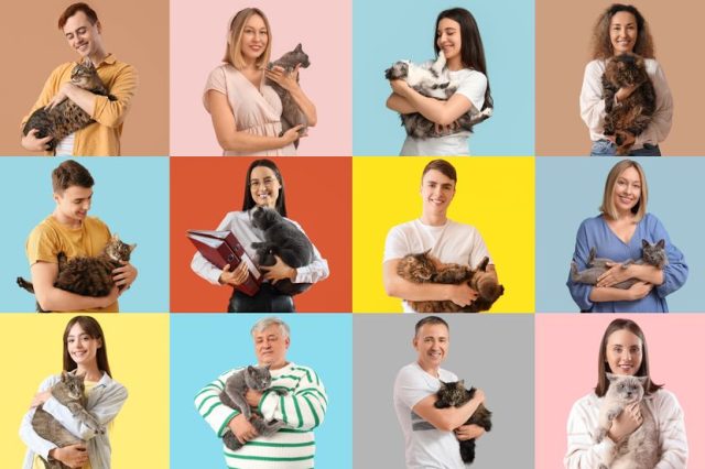 Novi odnos mladih vlasnika prema mačkama: trendovi, izazovi i šta to znači za ljubimce