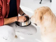 Kompletan vodič za ishranu pasa: sve što vlasnici trebaju znati Kompletan vodič za ishranu pasa: sve što vlasnici trebaju znati